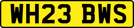 WH23BWS