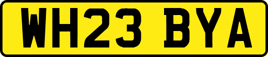WH23BYA