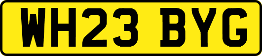 WH23BYG