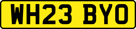 WH23BYO