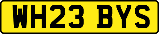 WH23BYS