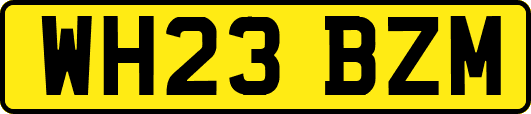WH23BZM