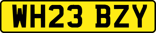 WH23BZY