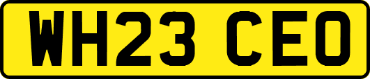 WH23CEO