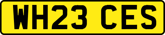 WH23CES