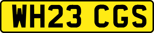 WH23CGS