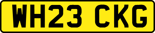 WH23CKG