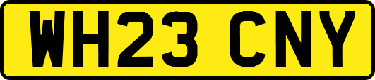 WH23CNY