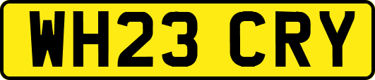 WH23CRY