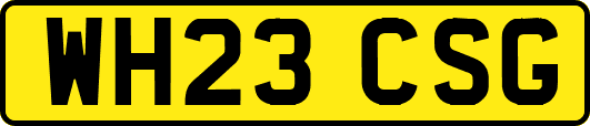WH23CSG