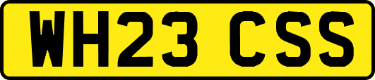 WH23CSS