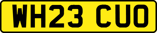 WH23CUO