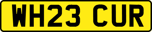 WH23CUR