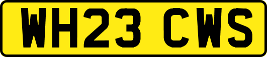 WH23CWS