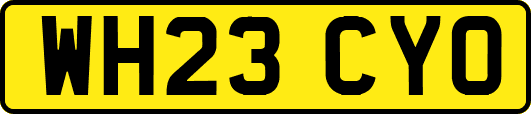 WH23CYO