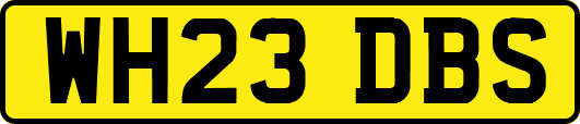 WH23DBS