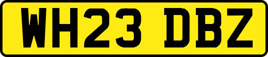 WH23DBZ