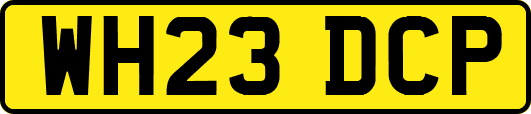 WH23DCP