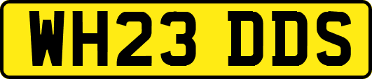 WH23DDS