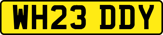 WH23DDY