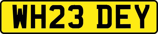 WH23DEY