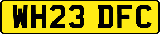 WH23DFC