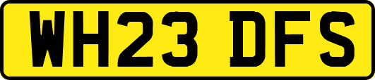 WH23DFS