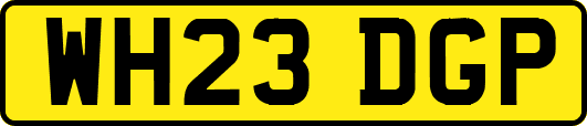 WH23DGP