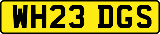 WH23DGS