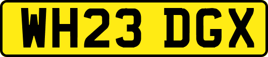 WH23DGX