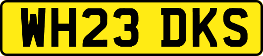 WH23DKS