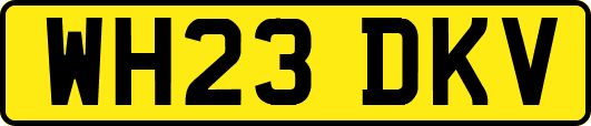 WH23DKV