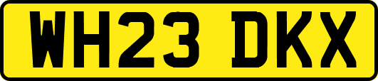 WH23DKX