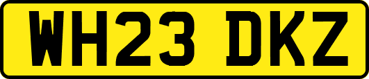 WH23DKZ