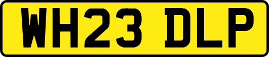 WH23DLP