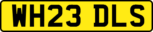 WH23DLS