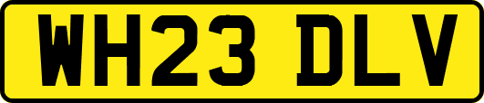 WH23DLV