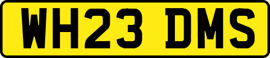 WH23DMS