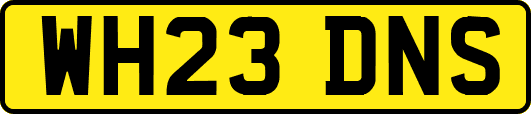 WH23DNS