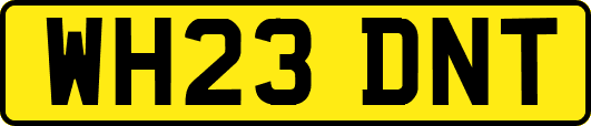 WH23DNT