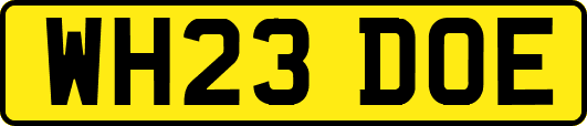 WH23DOE