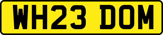 WH23DOM