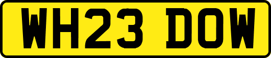 WH23DOW