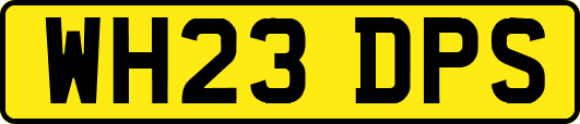 WH23DPS