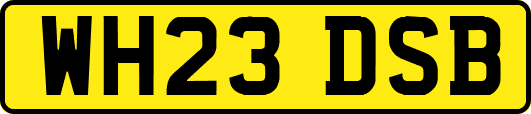 WH23DSB
