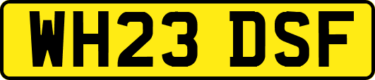 WH23DSF