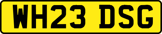 WH23DSG