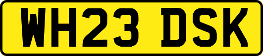 WH23DSK