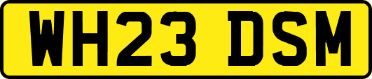 WH23DSM