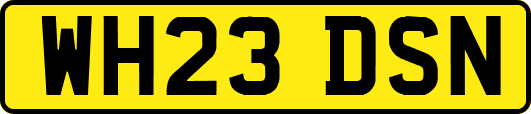 WH23DSN